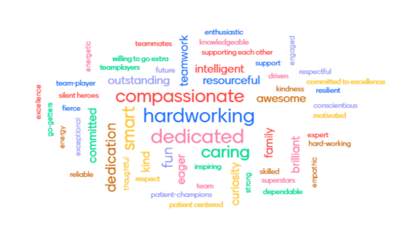 Word cloud of terms to describe Duke Ob/Gyn residents