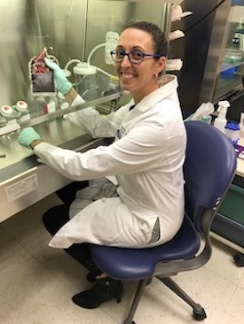 Dr. Gilner in the MFM lab doing cord blood research
