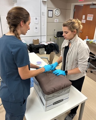 Residents practicing during OB sim day