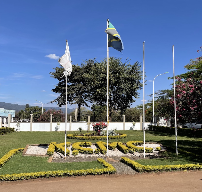 Flags in front of KCMC