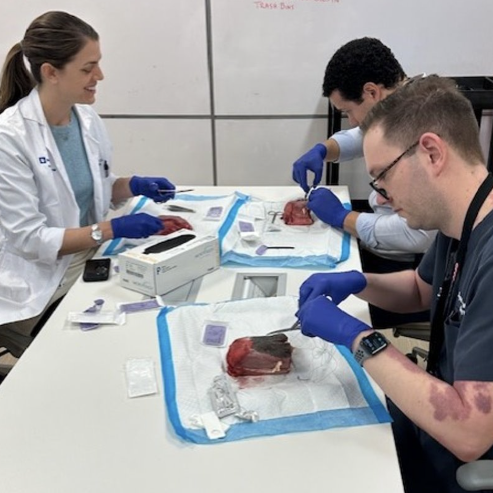 Residents practicing during Laceration Lab