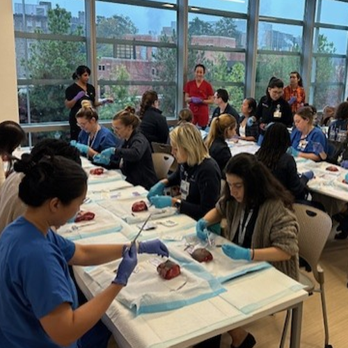 Residents practicing during Laceration Lab