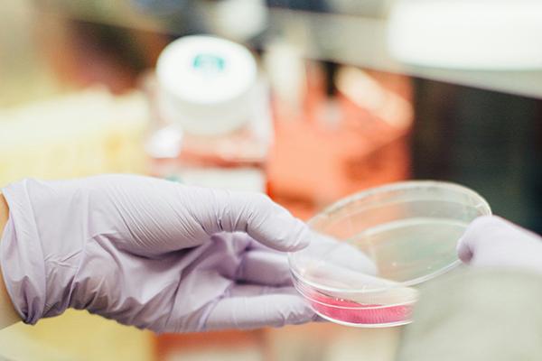 Lab photo with petri dish