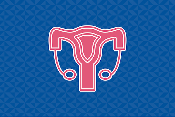 icon of reproductive system