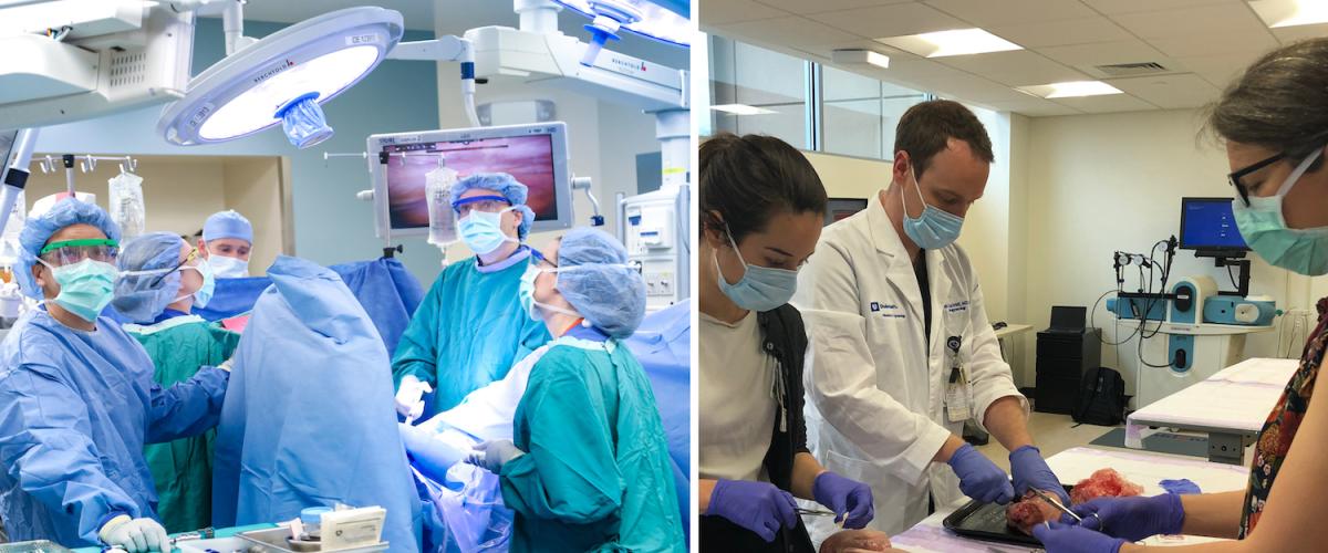 Collage of surgeons in FPMRS fellowship